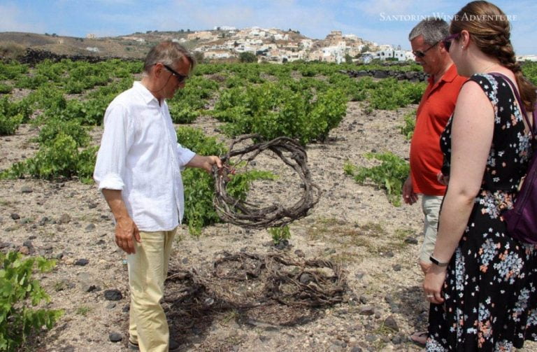 Ancient Akrotiri and Santorini Wineries Tour