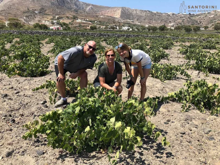 Santorini 5-Hour Private Wine Tour with Greek Meal