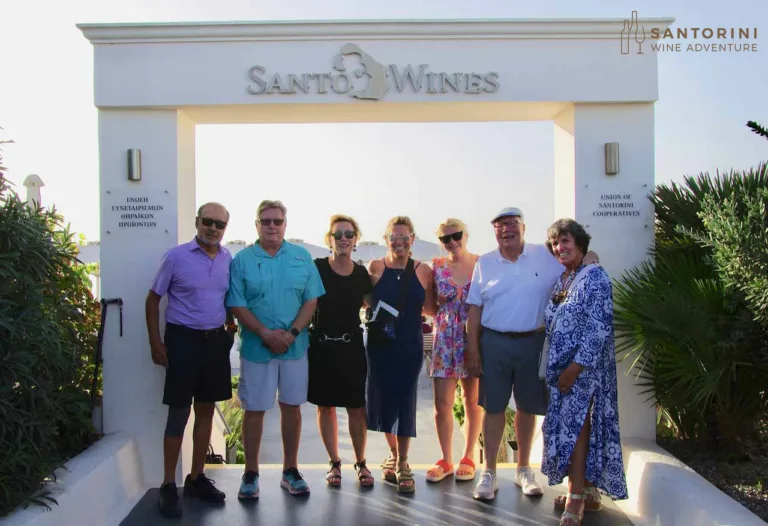 Private Tour: Great Wines and Famous Santorini Towns