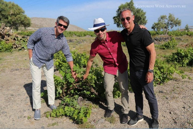 Ancient Akrotiri and Santorini Wineries Tour