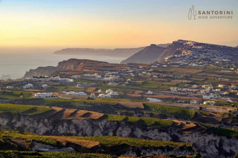 Private Tour: Great Wines and Famous Santorini Towns