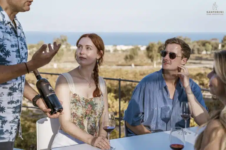 Private Morning Tour: Santorini Private Wine Tour with Lunch