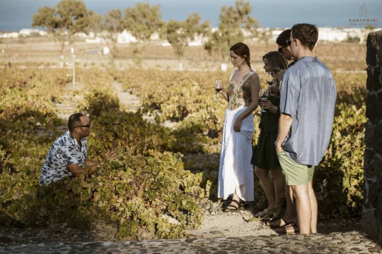 Private Morning Tour: Santorini Wine Adventure