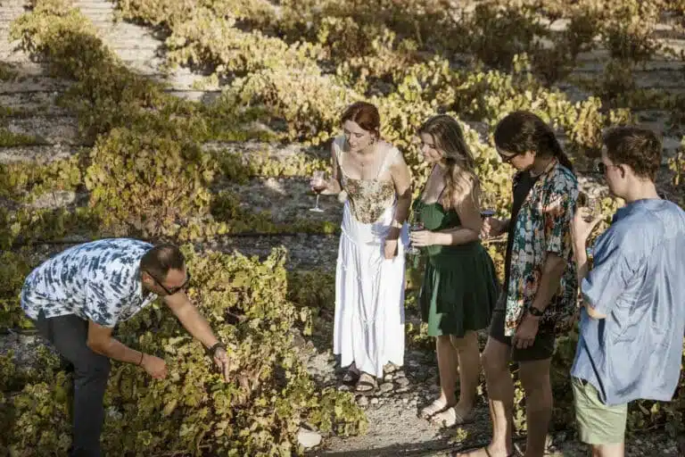 Private Morning Tour: Santorini Wine Adventure
