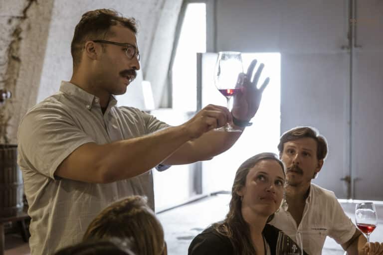 Morning Tour: Santorini Wine Adventure with 12 Tastings and Tapas