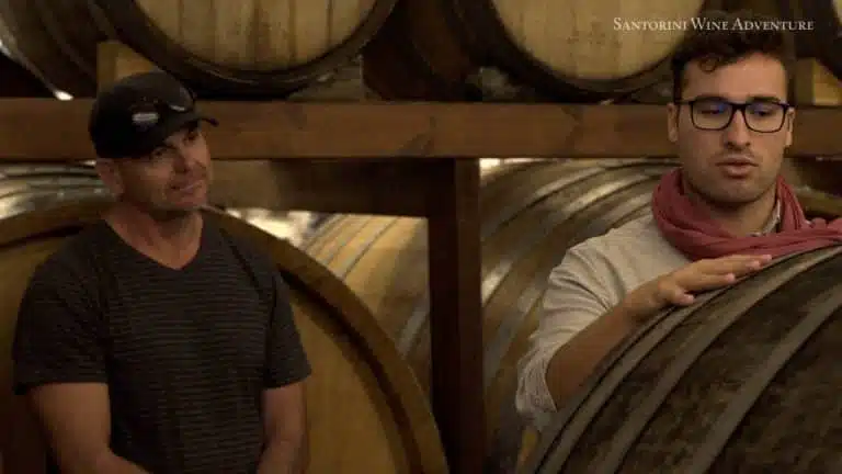 Treasures of Ancient Akrotiri and Santorini Wineries