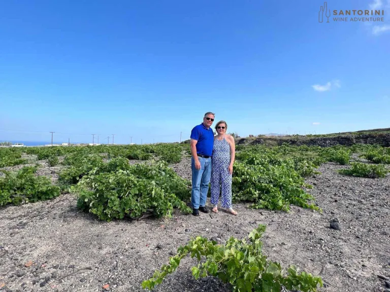 Santorini Private Wine Tour