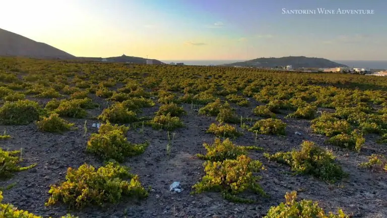 Santorini Sunset Wine Tour