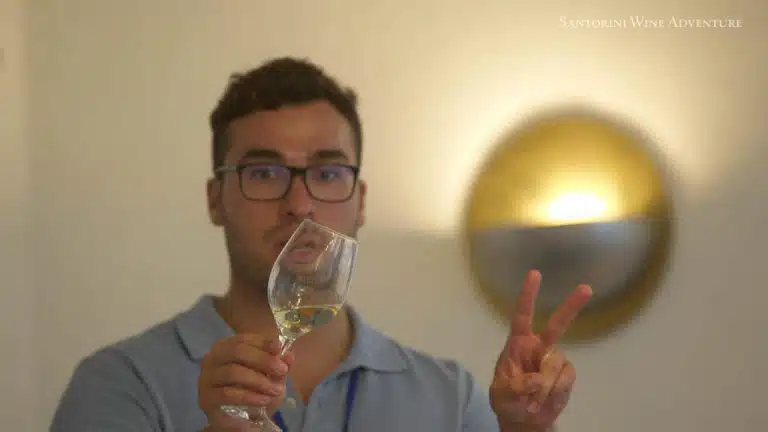 Santorini Wine Adventure Tour